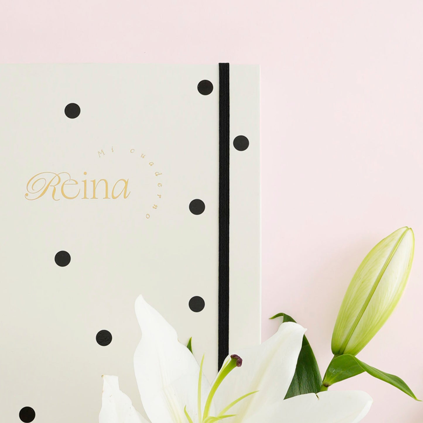 Cuaderno Reina Grande en color beige es una hermosa opción que puedes emplear para cualquier propósito que desees, ya sea escritura o dibujo. Tiene impreso en el interior unos puntos sutiles, con una separación de 5mm, para que puedas anotar tus pensamientos, hacerlo tu diario personal y emplearlo para tus tareas.